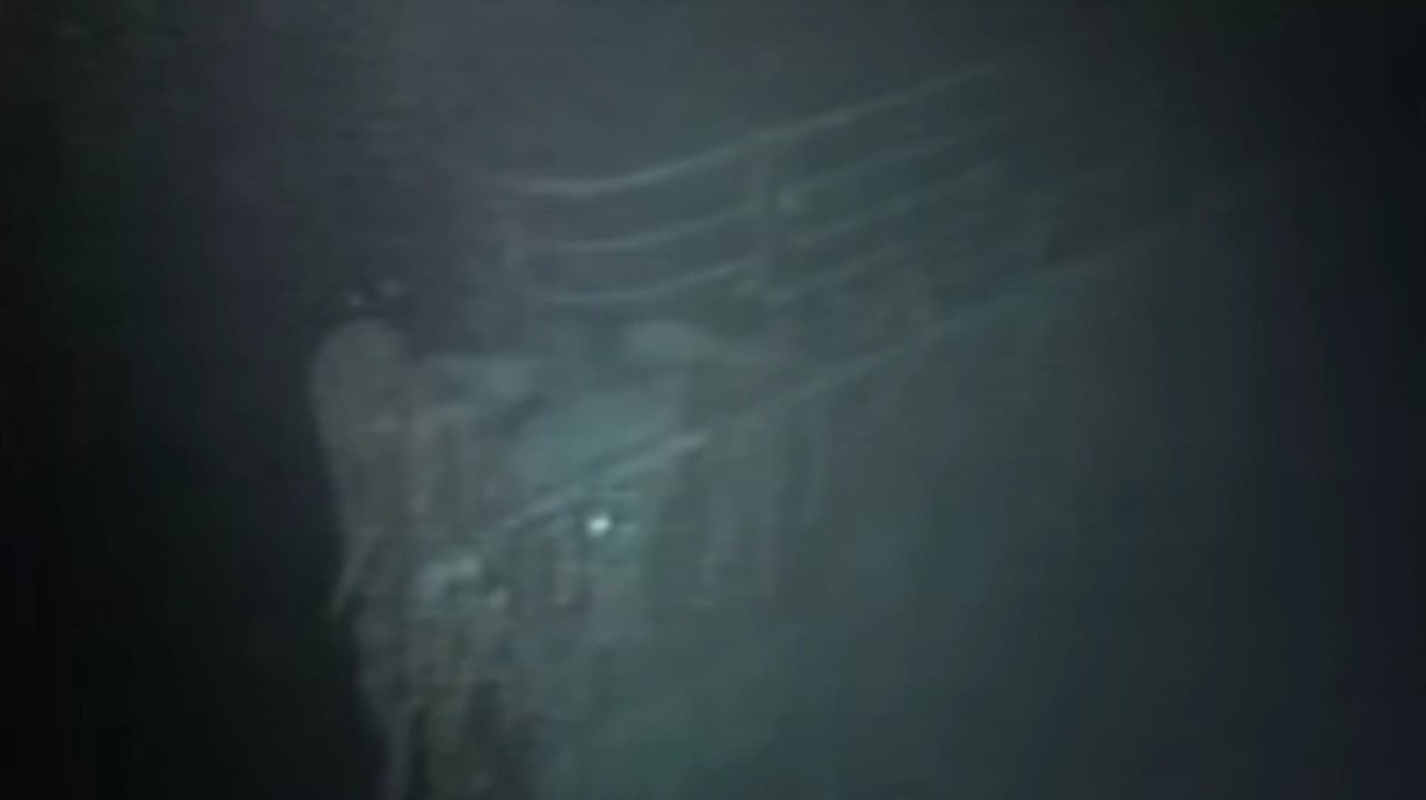 Titanic: The Nightmare and the Dream