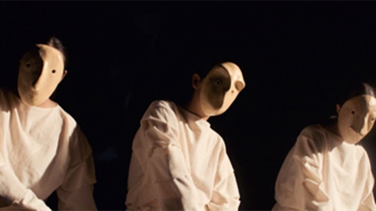 All The Birds At Night