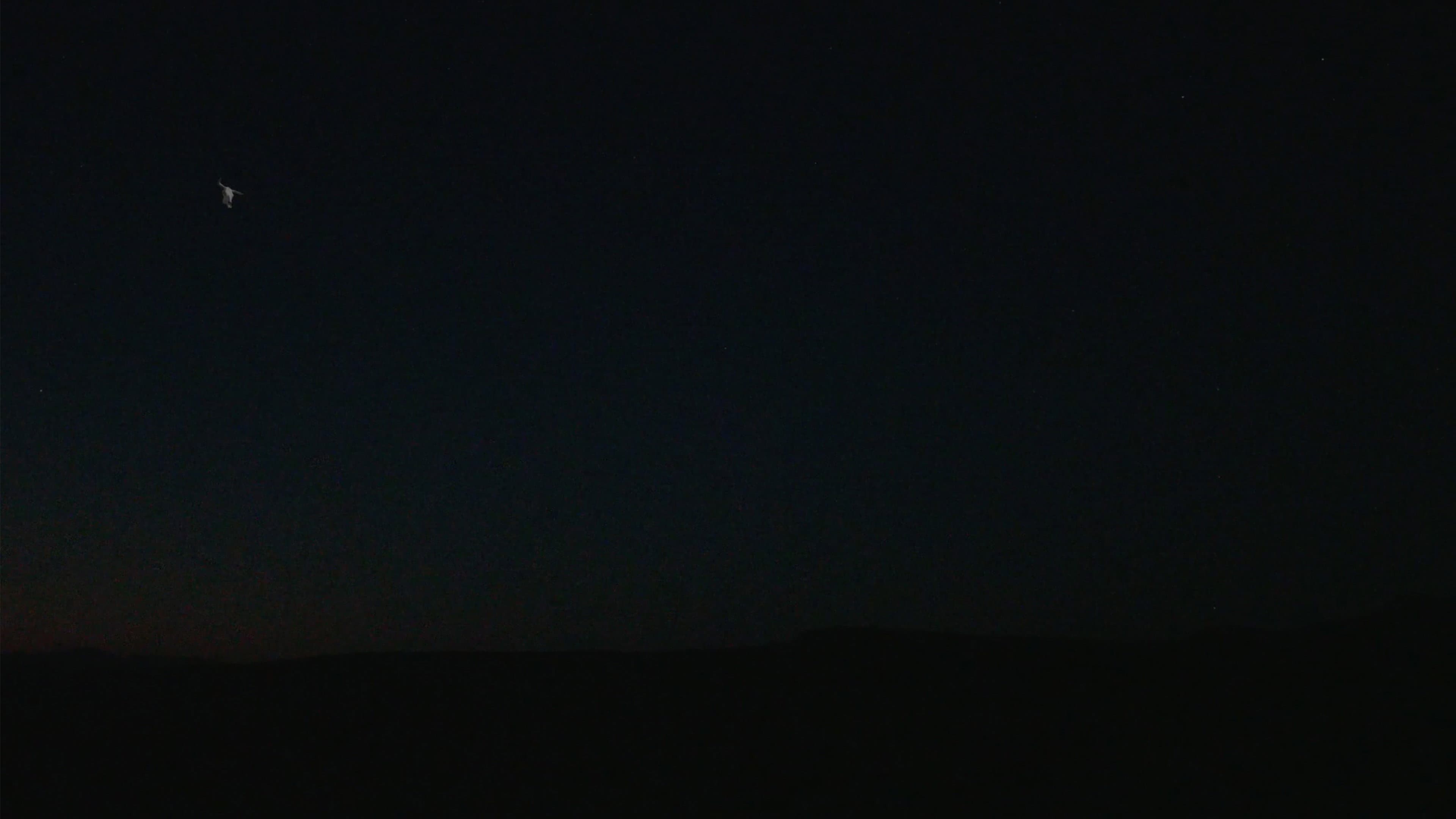 The Skull and the Arm