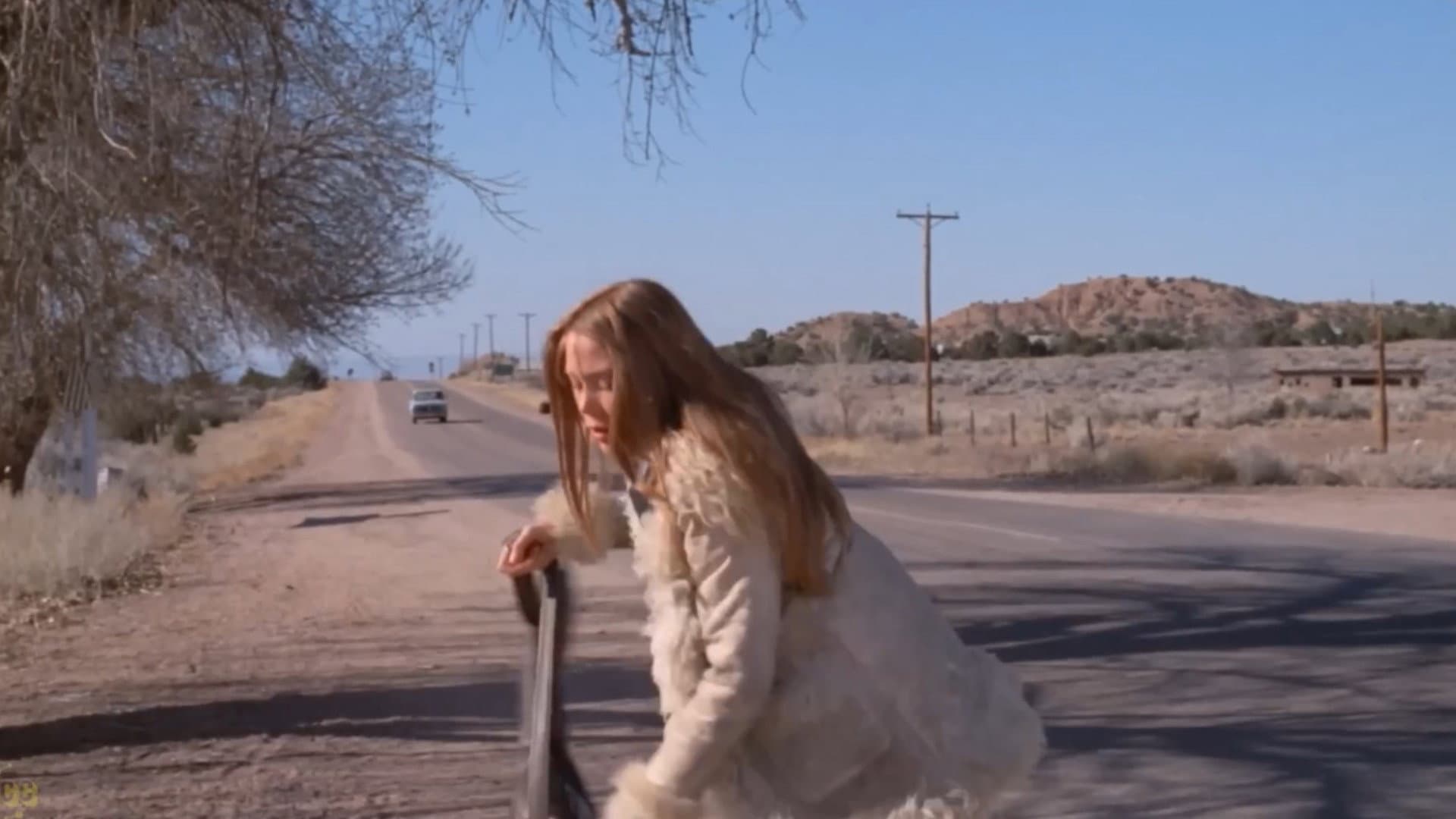 Ginger in the Morning