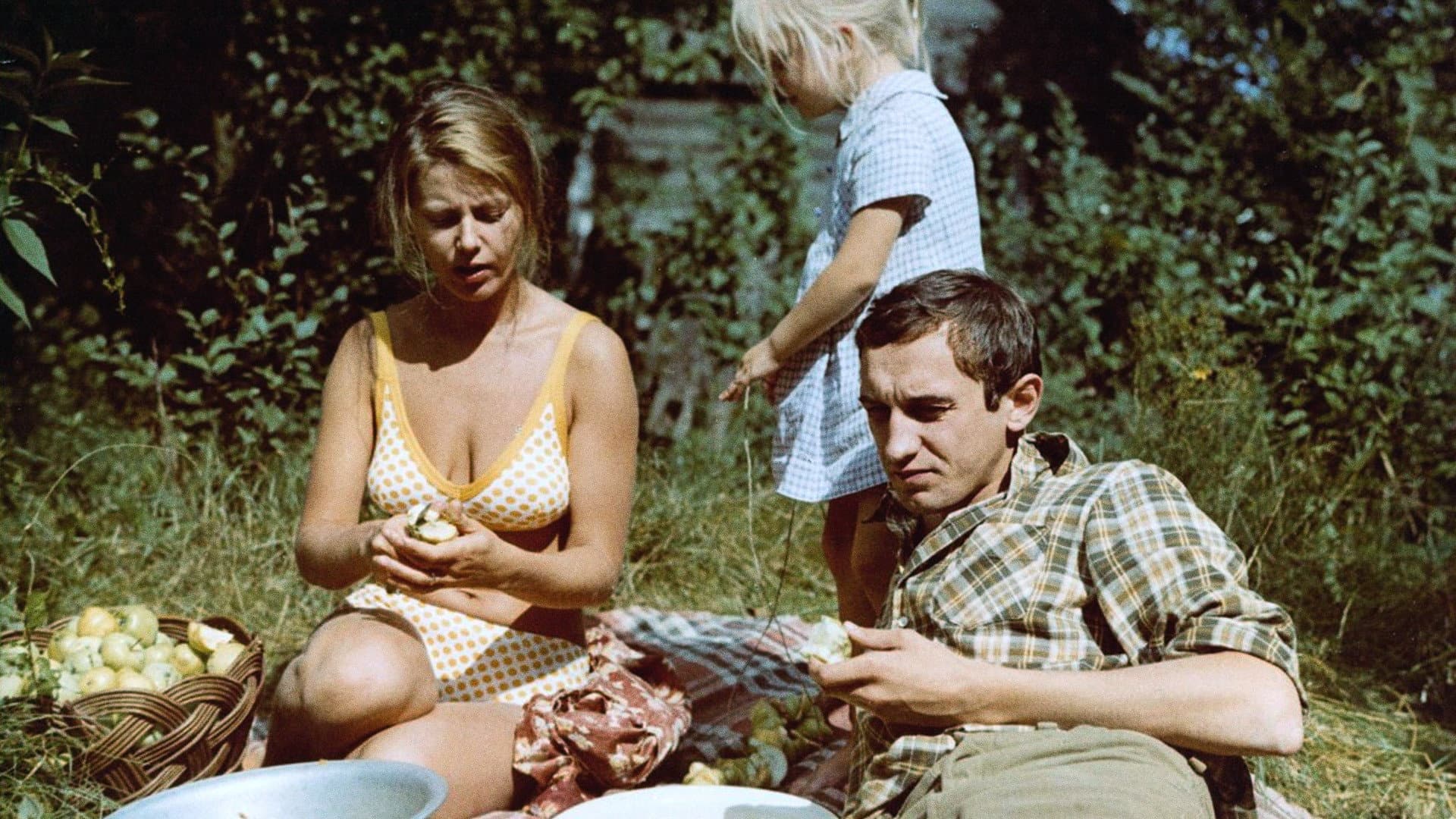 Summer Ends in Autumn