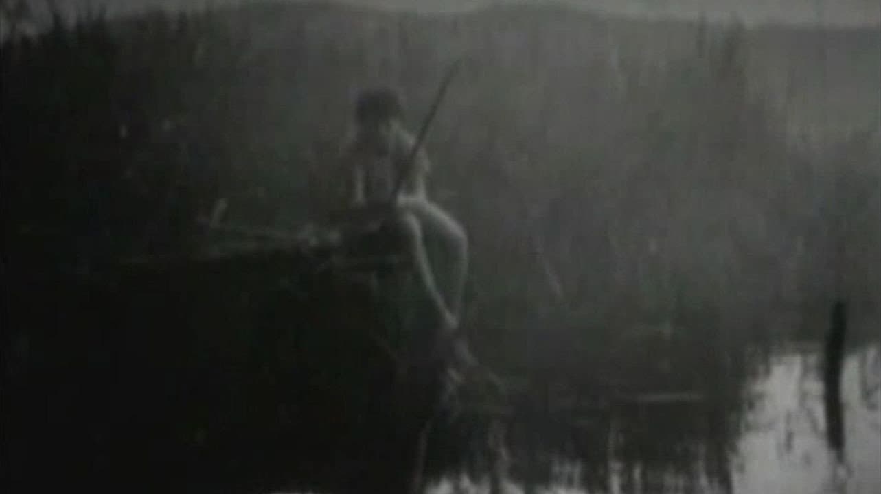 Vagabund für fünf Tage