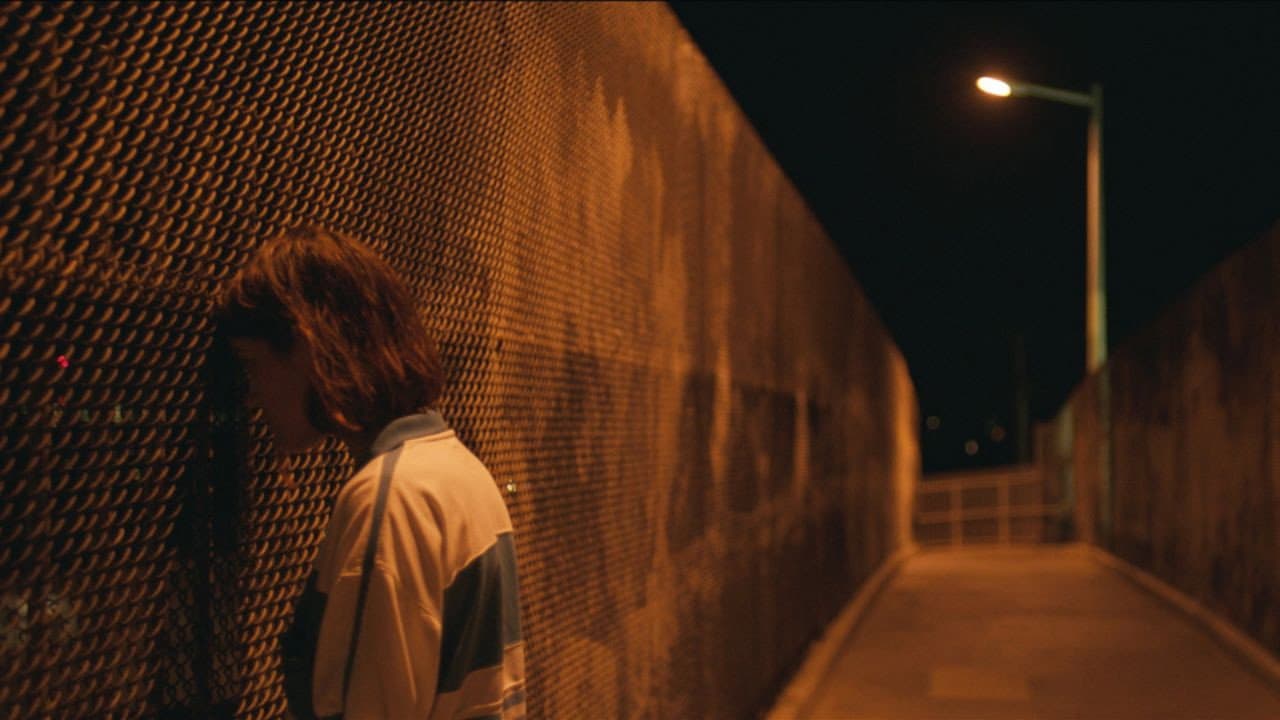 Palm Trees and Power Lines