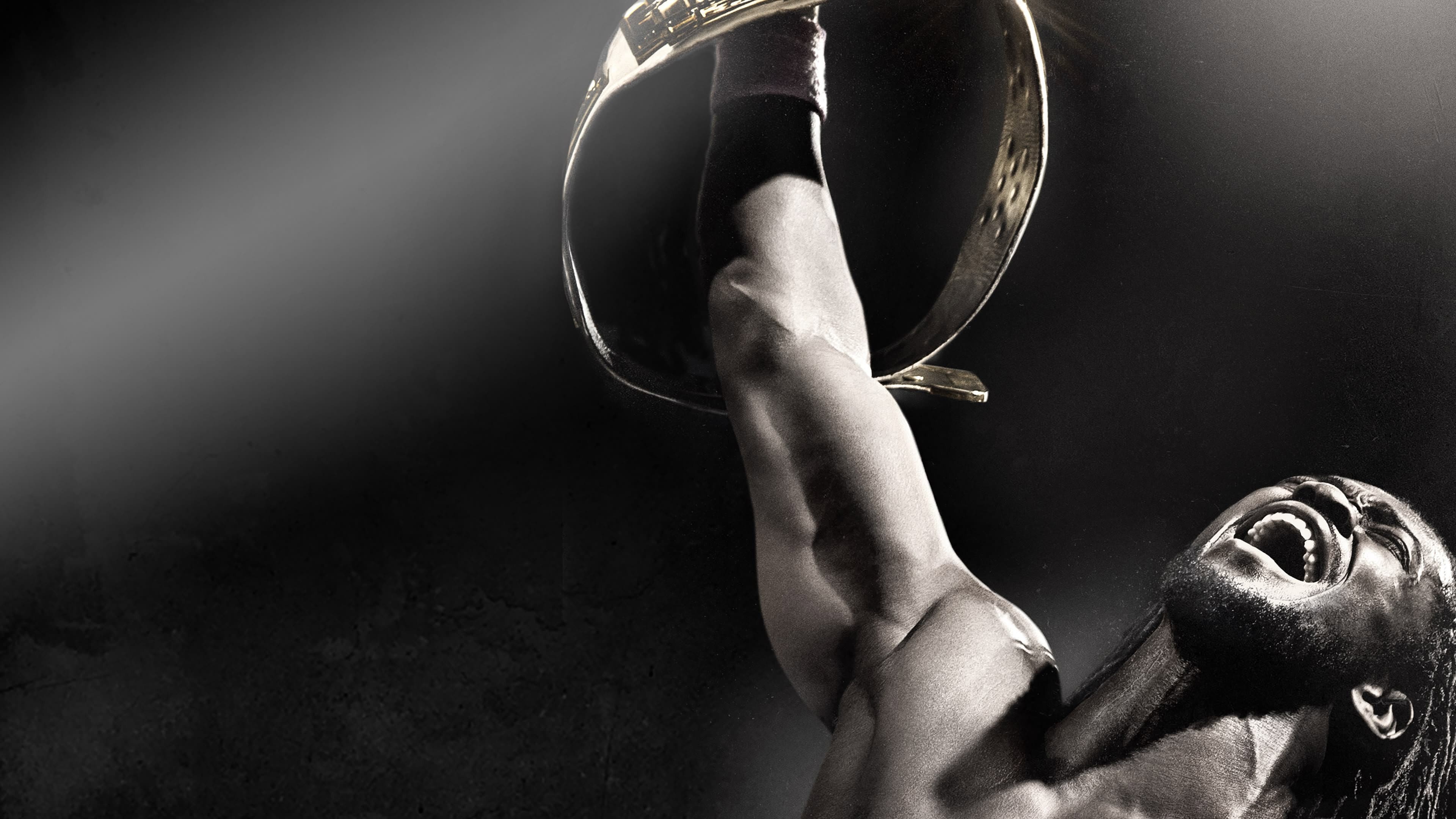 WWE Night of Champions 2013