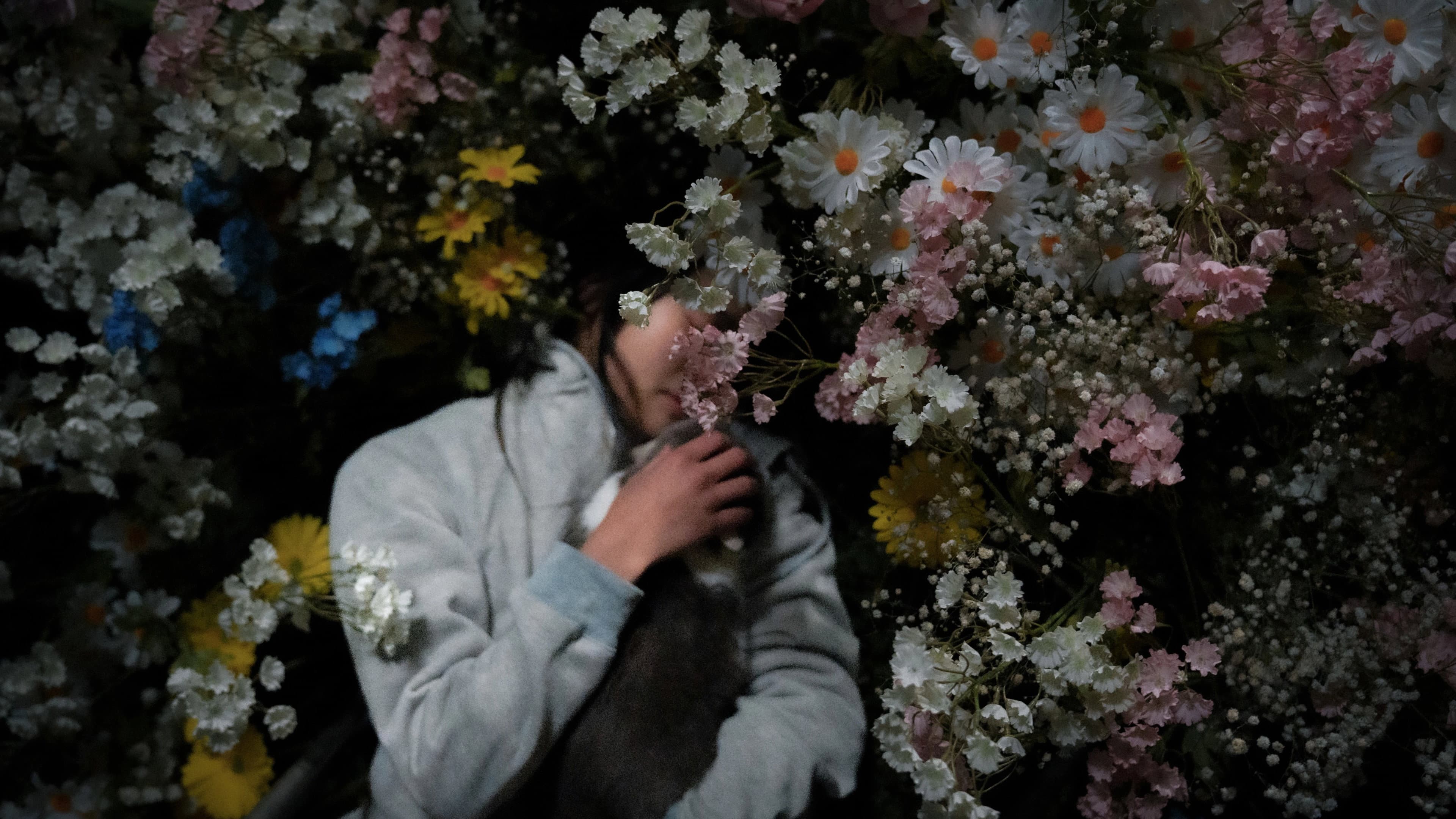 The Inception of Seeking