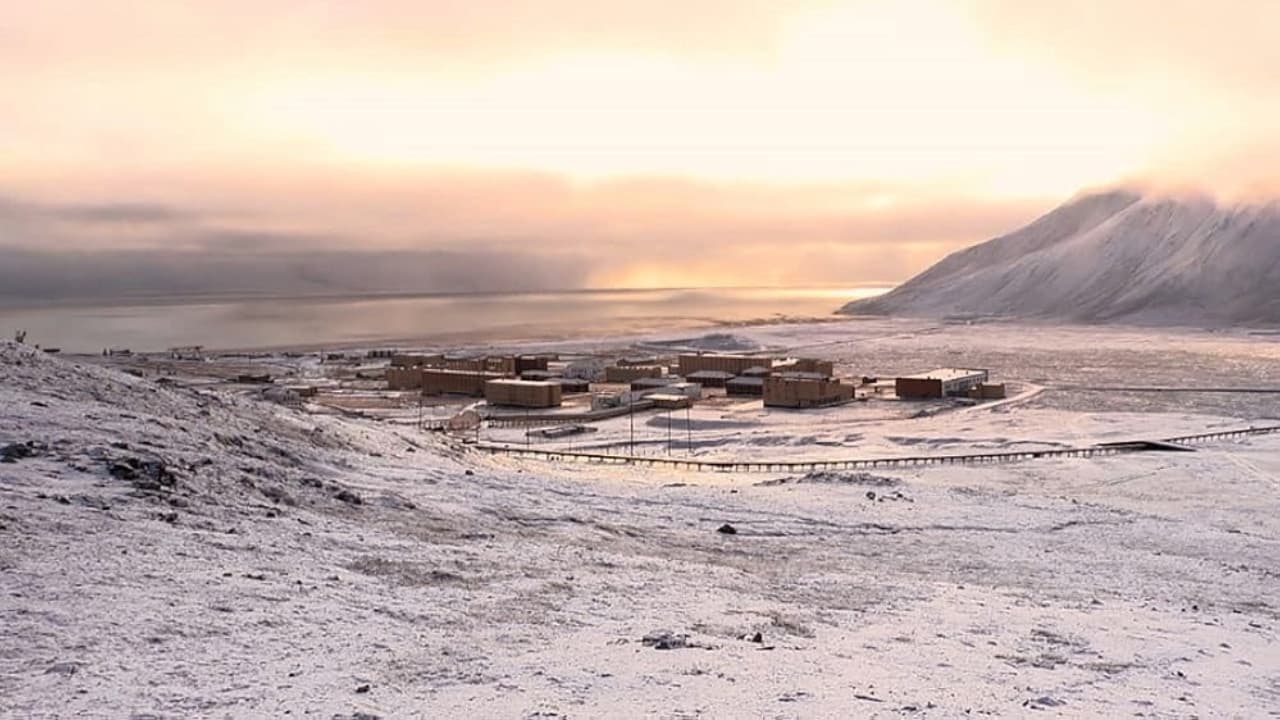 The Chronicles of Polyaris