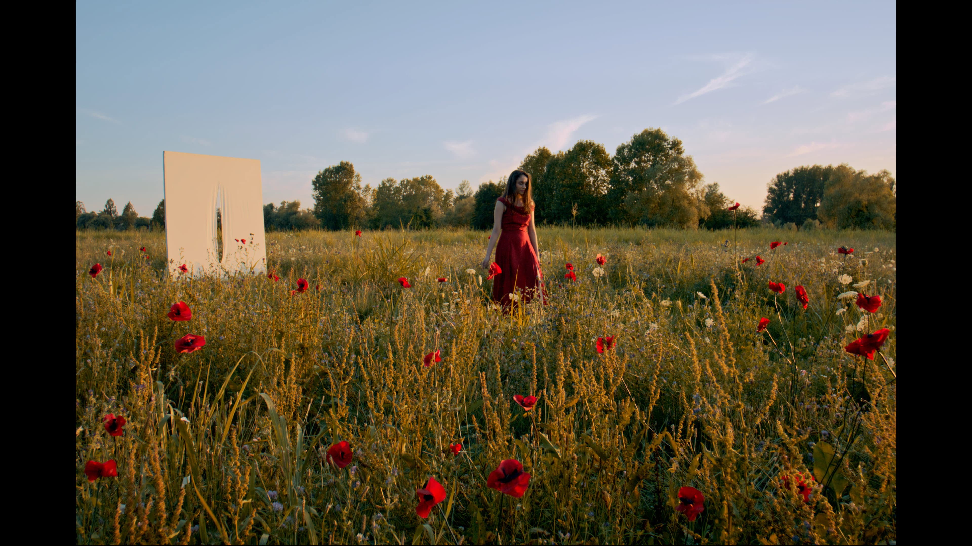 I Papaveri Sono Alti Alti Alti