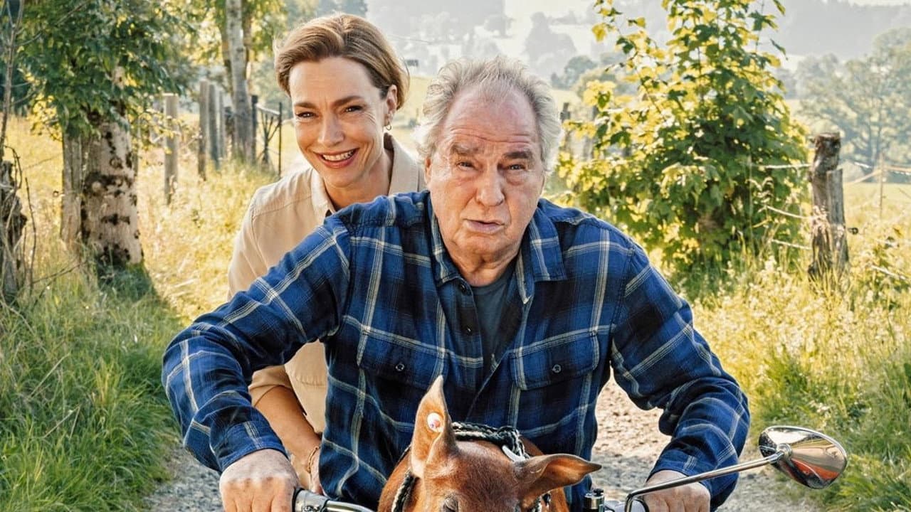 Zimmer mit Stall - Schwein gehabt