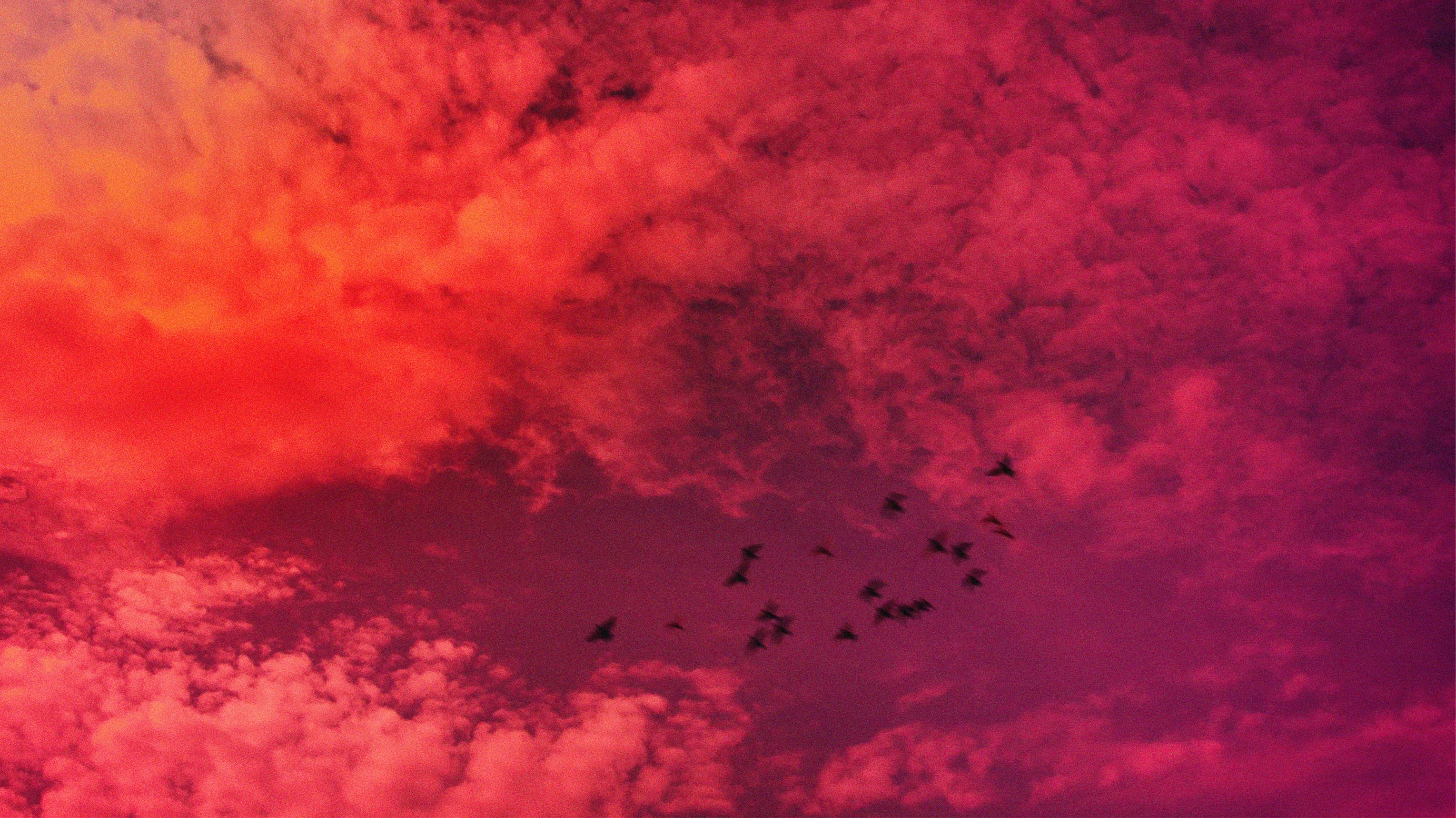 Taking my Time to Dance