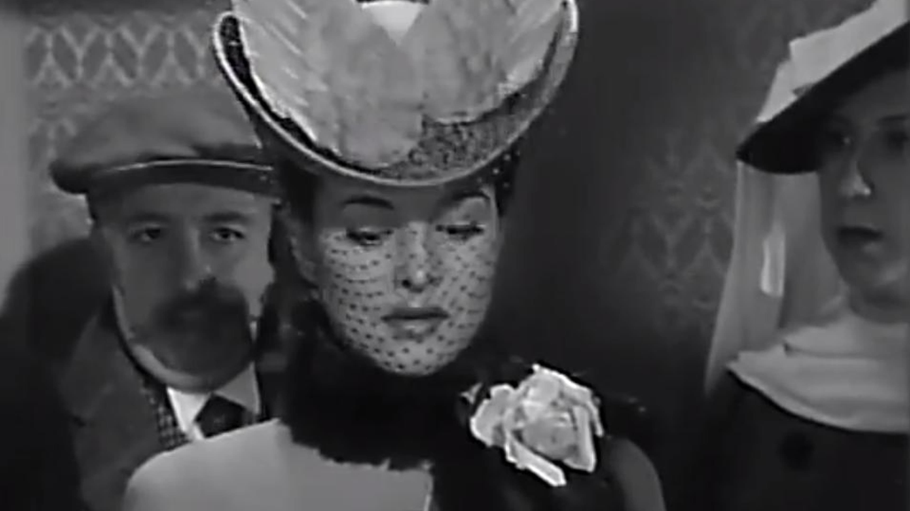 Yo Bailé con Don Porfirio