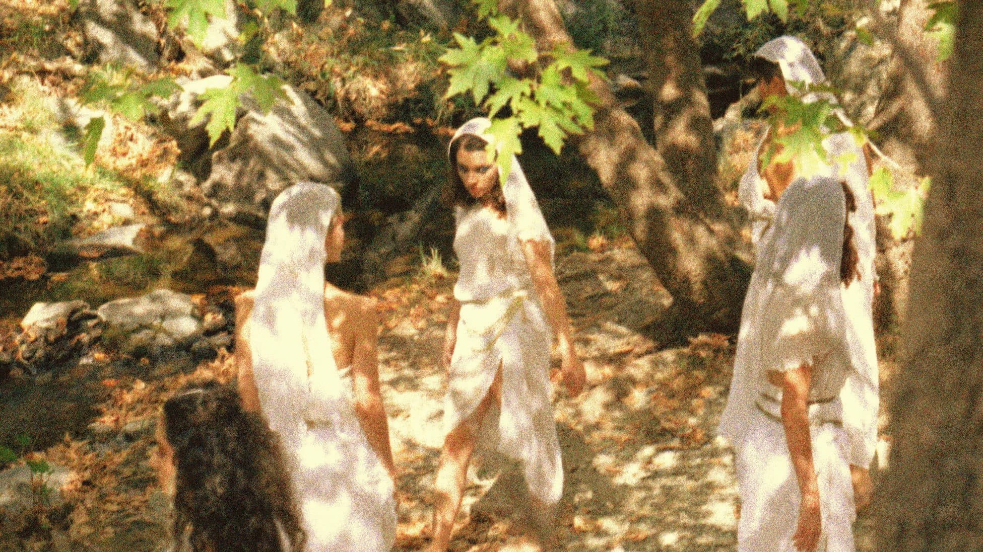 Witches cry on Wednesdays