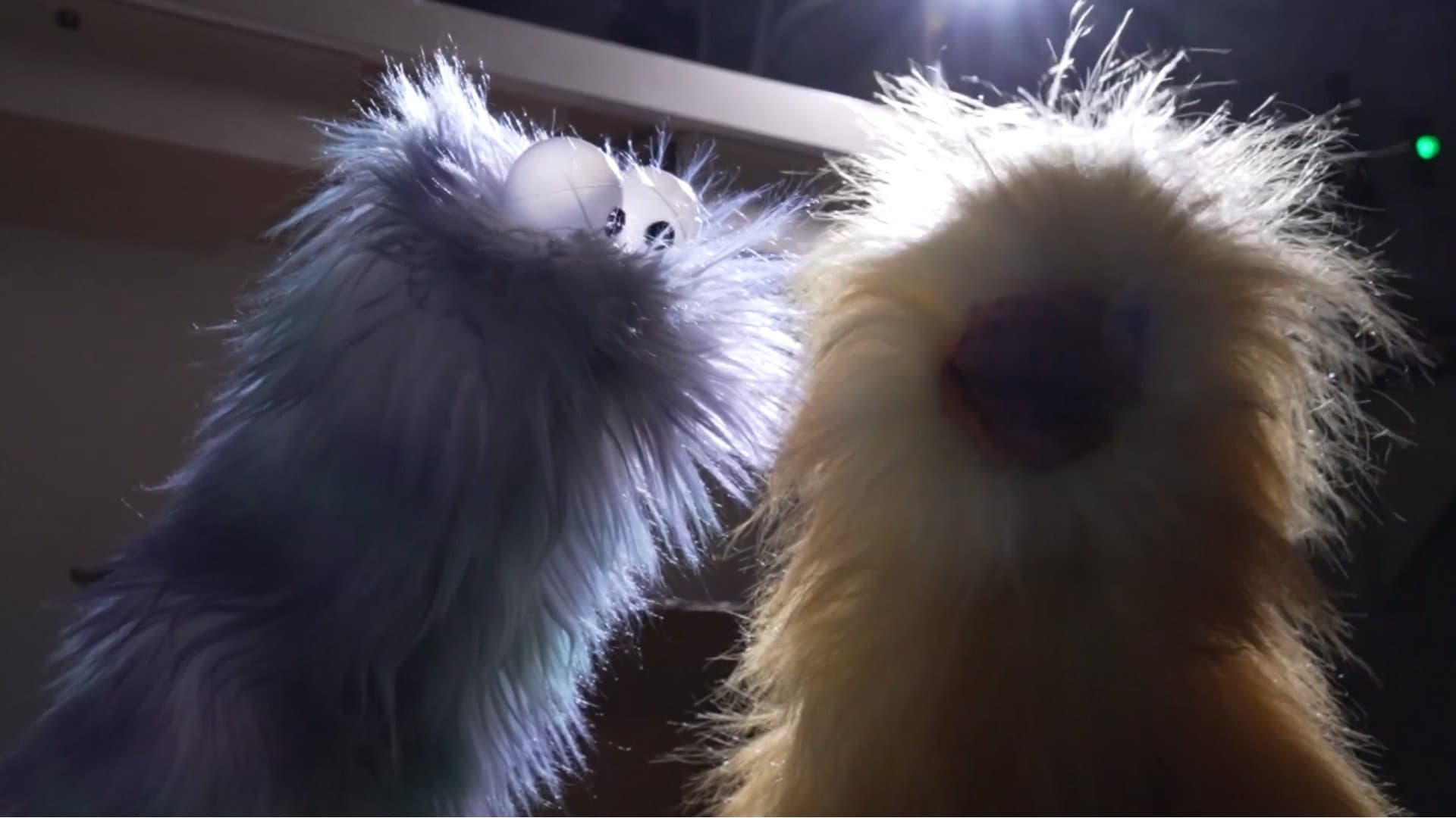 Peter Blaster the Puppet Master's Puppettacular Pursuit of Puppet Perfection