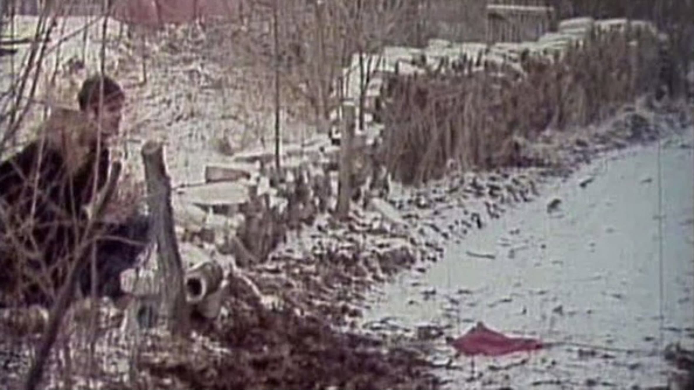 Paradise. An Imperialist Tragicomedy