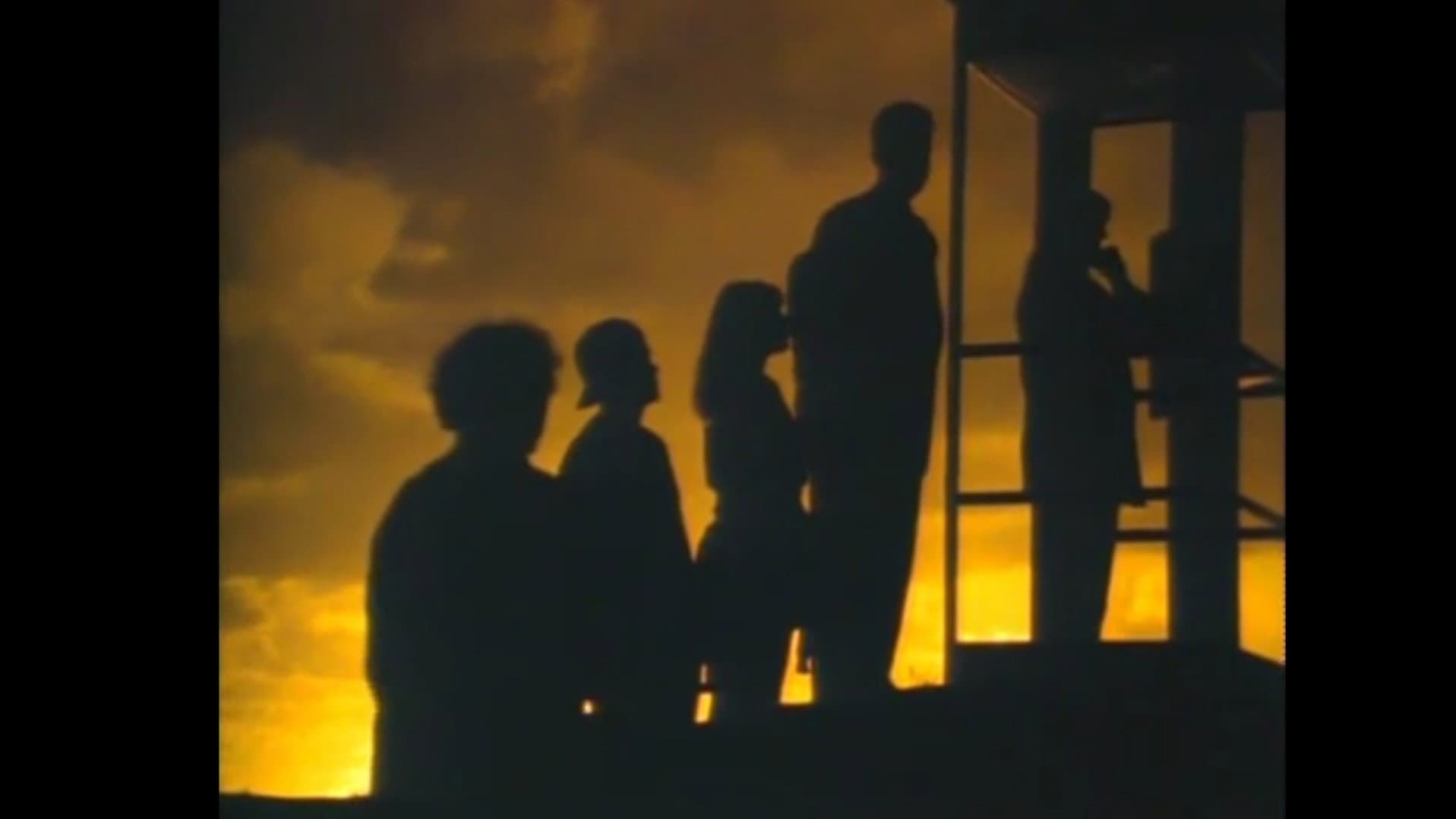 Mr. Petrified Forrest