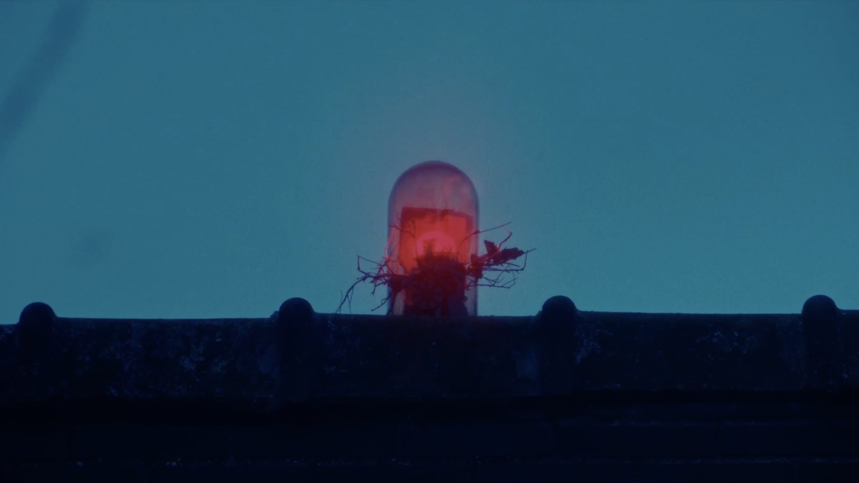 La casa de los monstruos