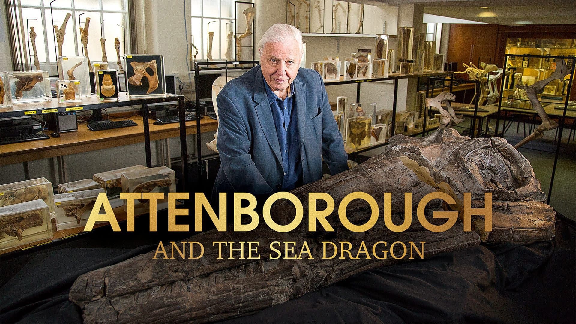 Attenborough and the Sea Dragon