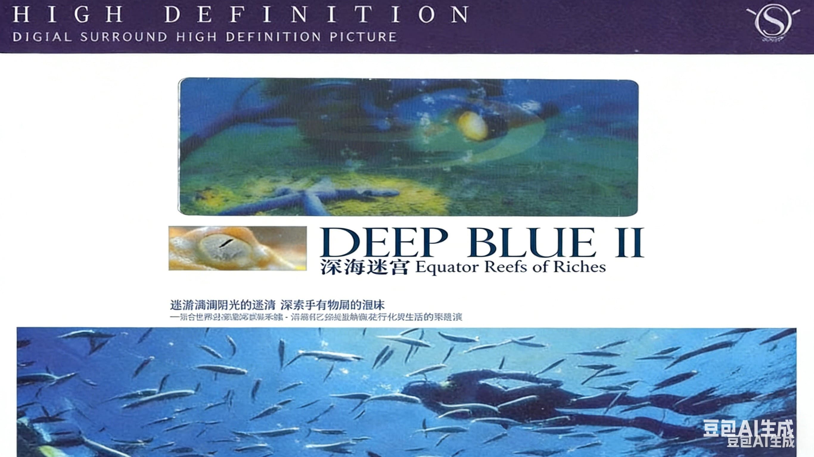 Equator - Reef of Riches