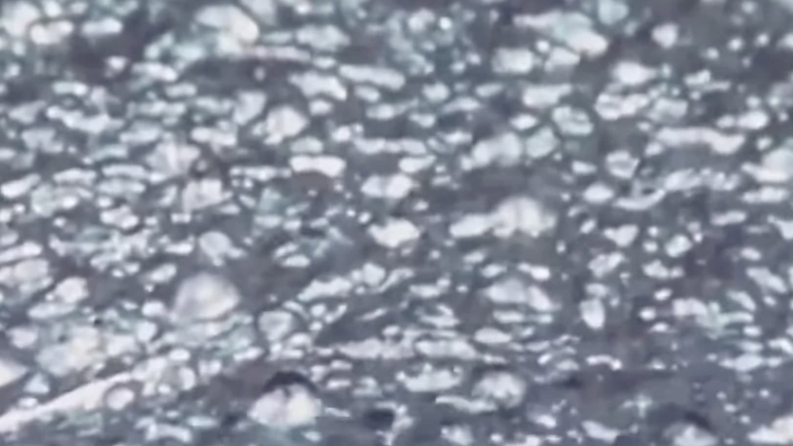 Saint-Étienne : ville secrète