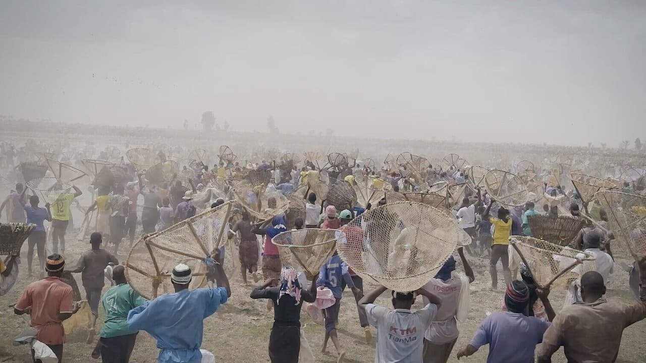 I bɔyɔrɔ, d’où viens-tu ?