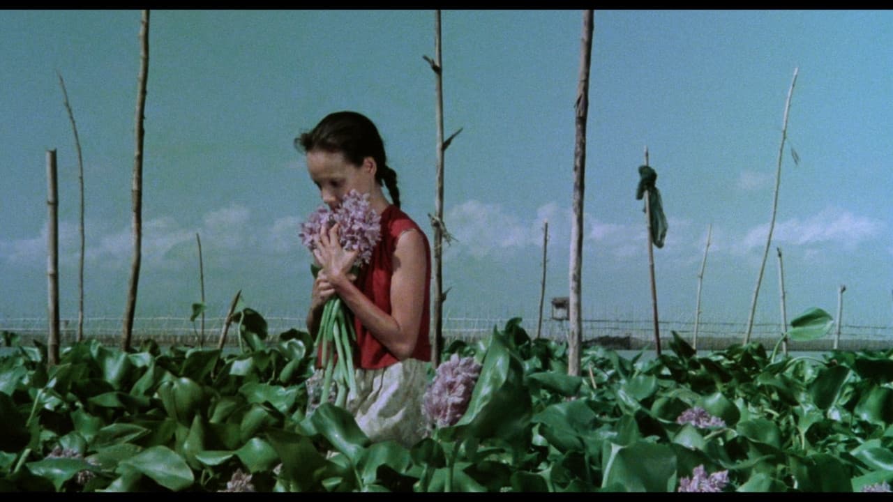 A Speck in the Water