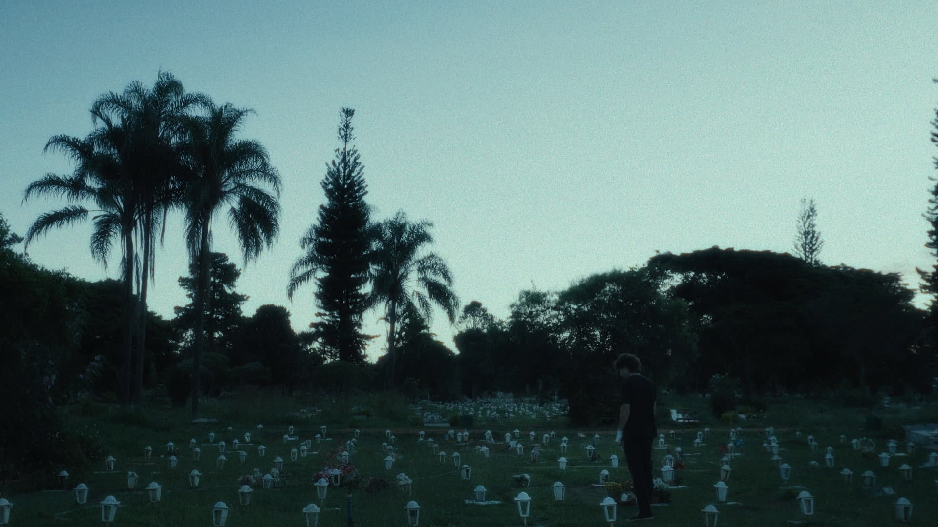 Lágrimas Holandesas