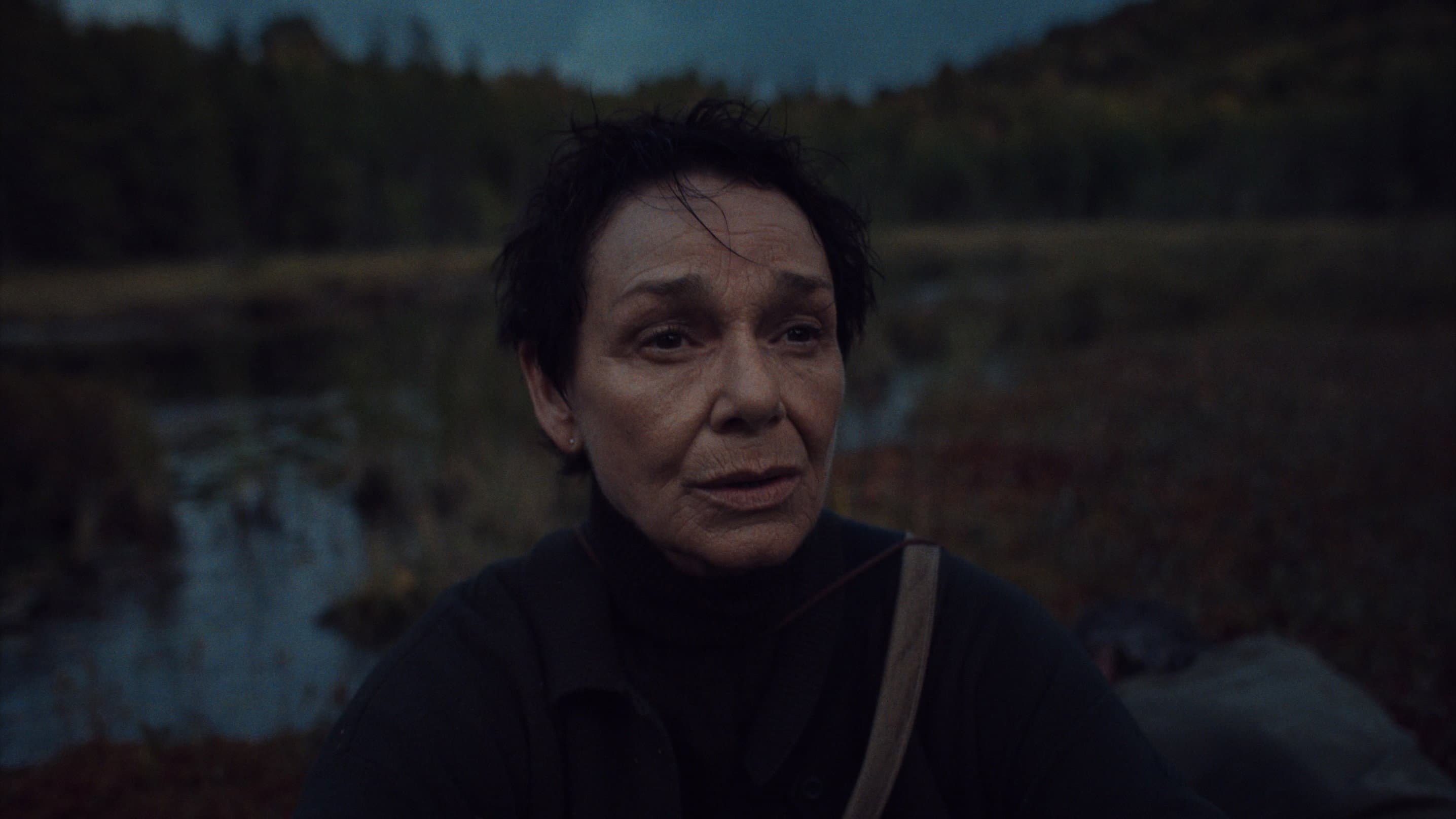 My Son Came Back to Disappear