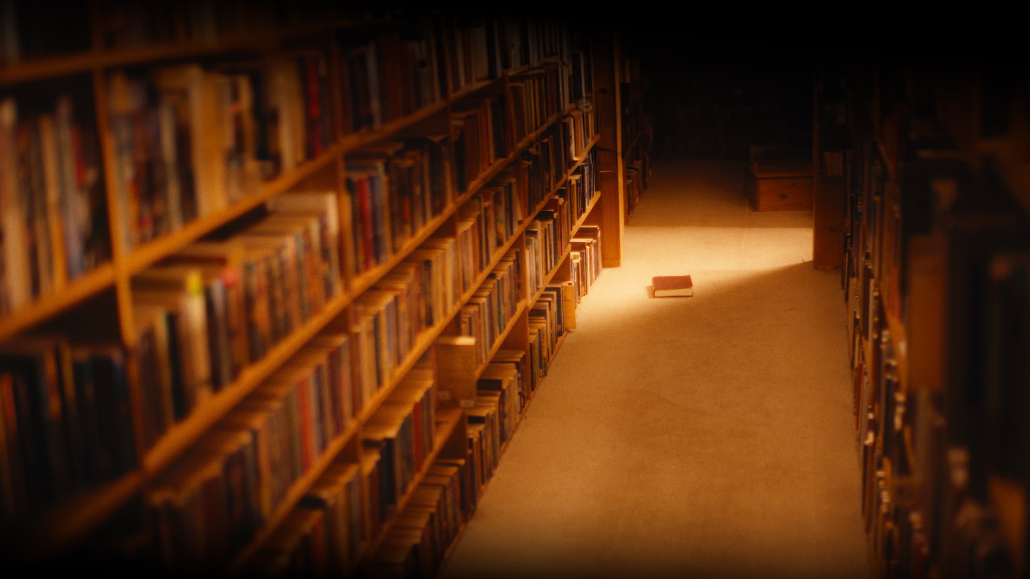 A Message to the Author