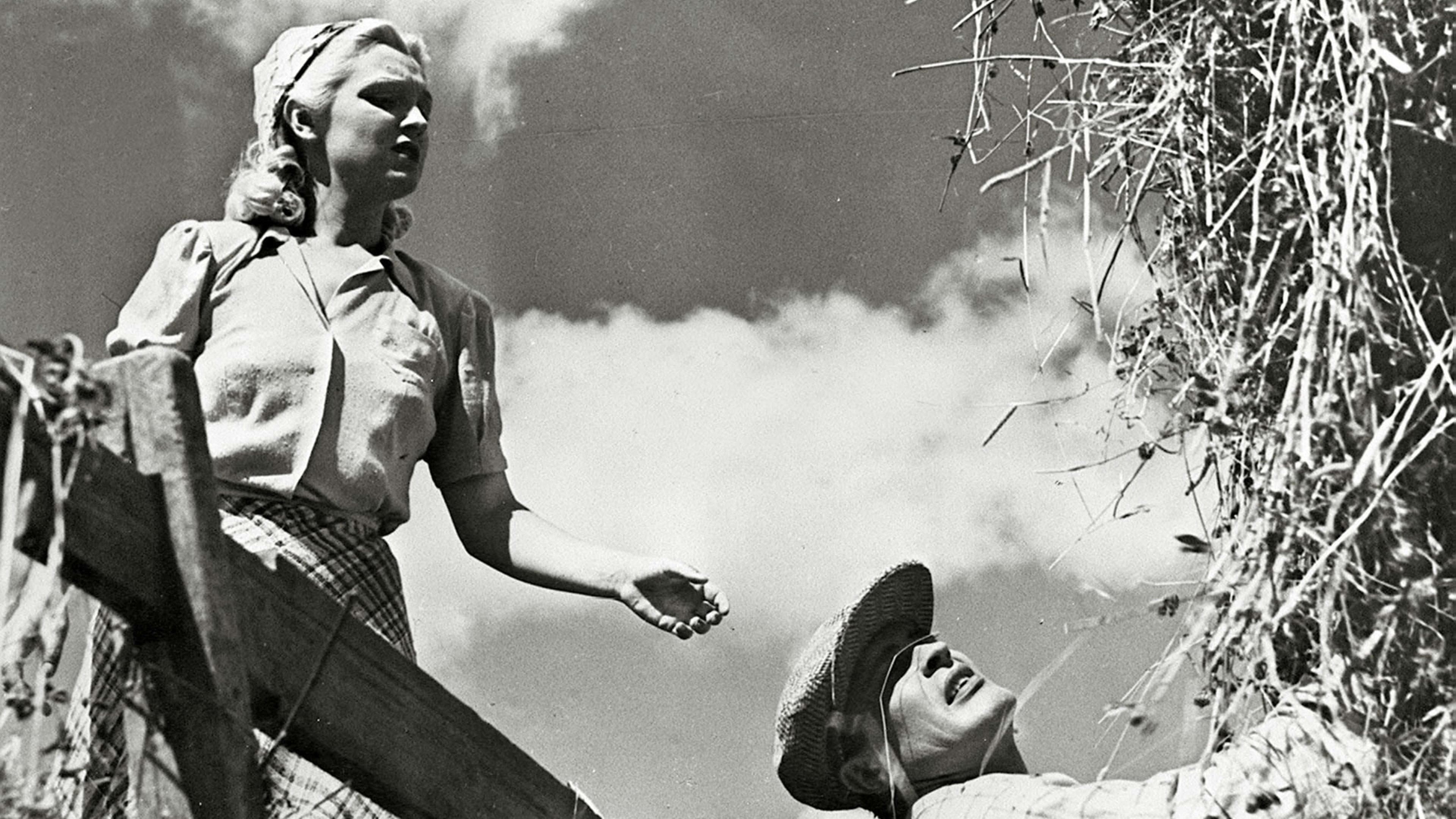 Oi, kallis Suomenmaa