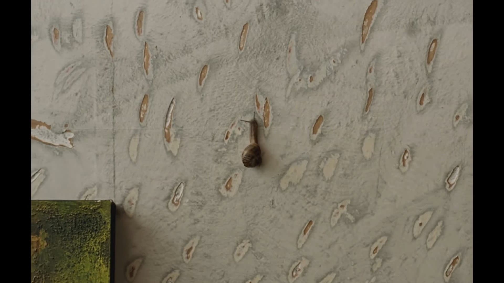 The Mark On The Wall