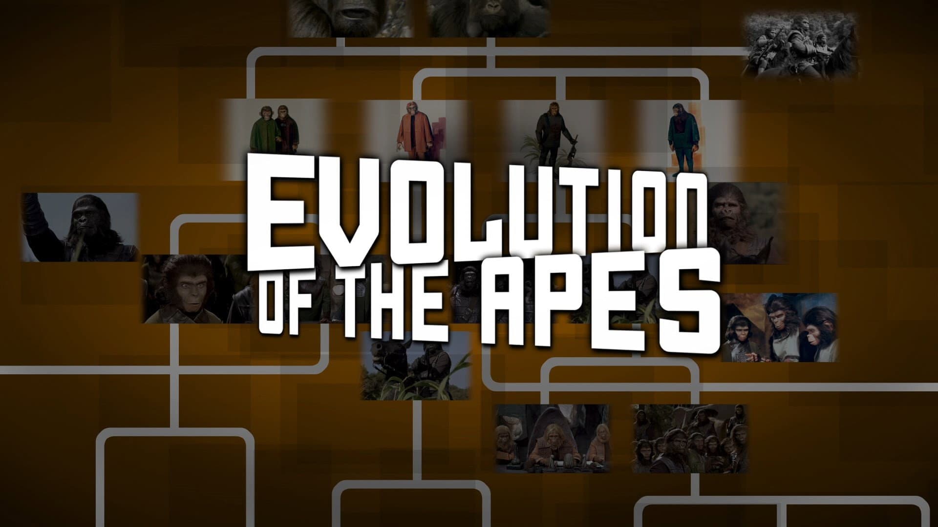 Evolution of the Apes