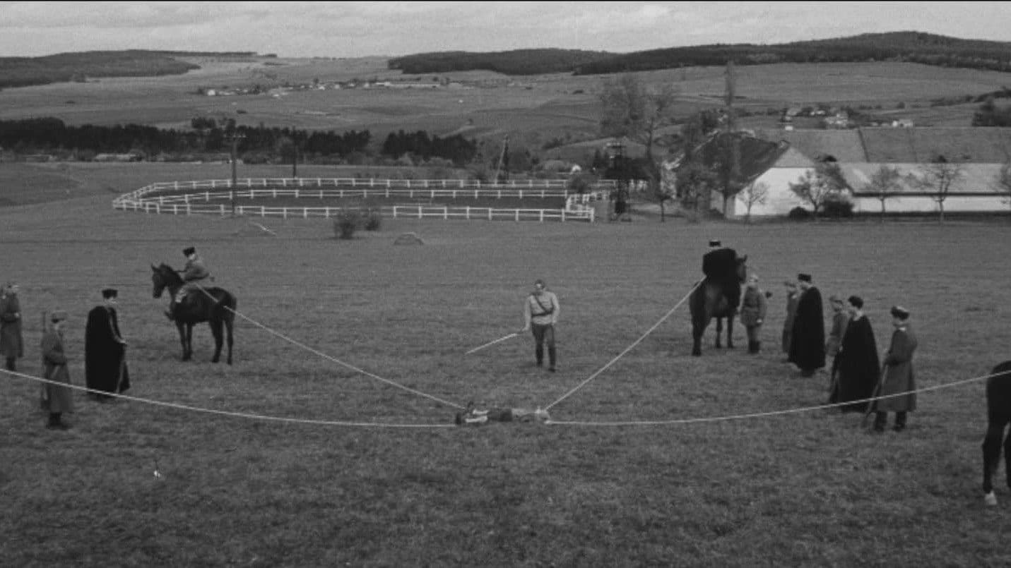 Long Live the Republic