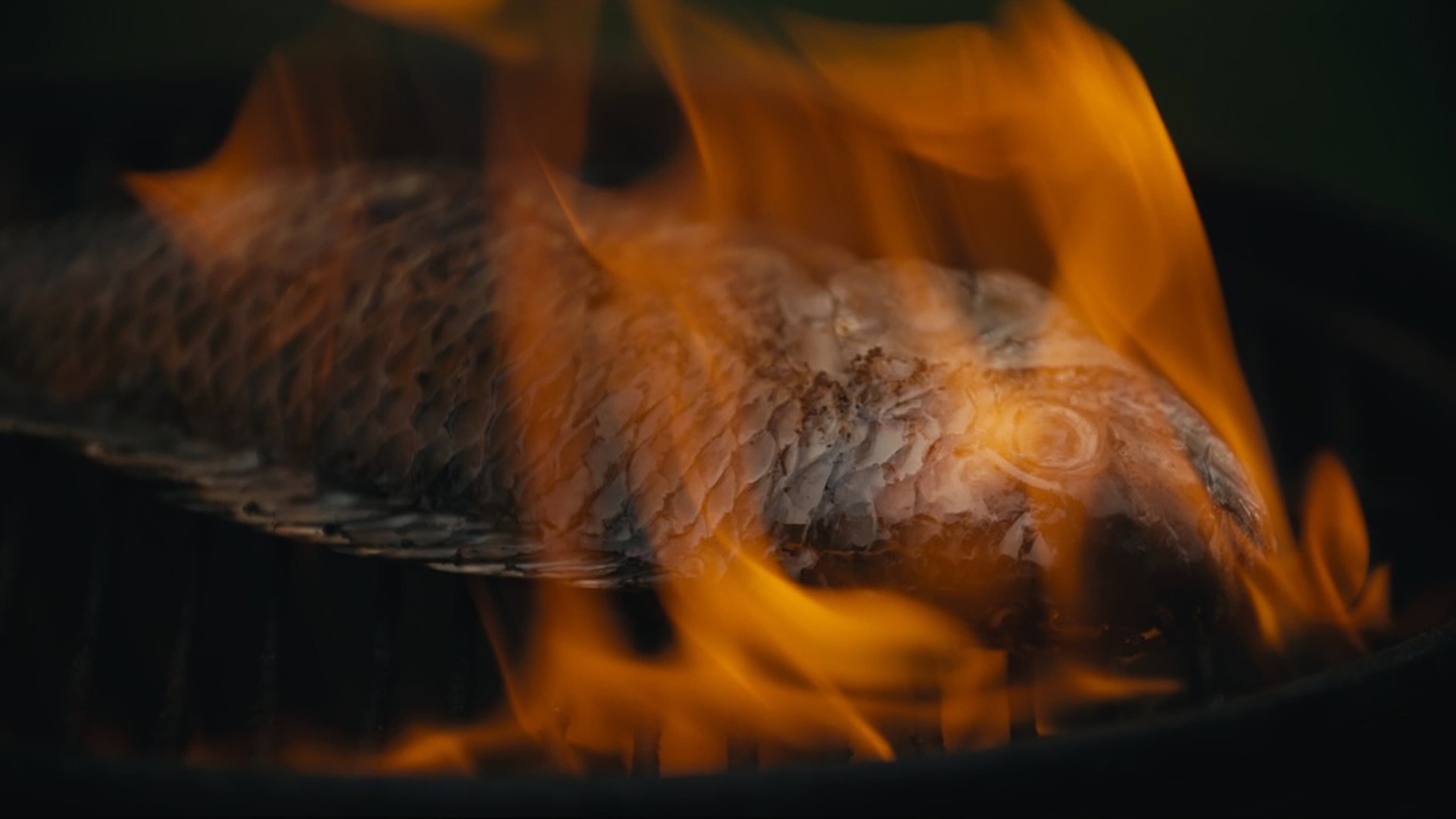 FOUR ARMS, FOUR LEGS AND TWO FACES