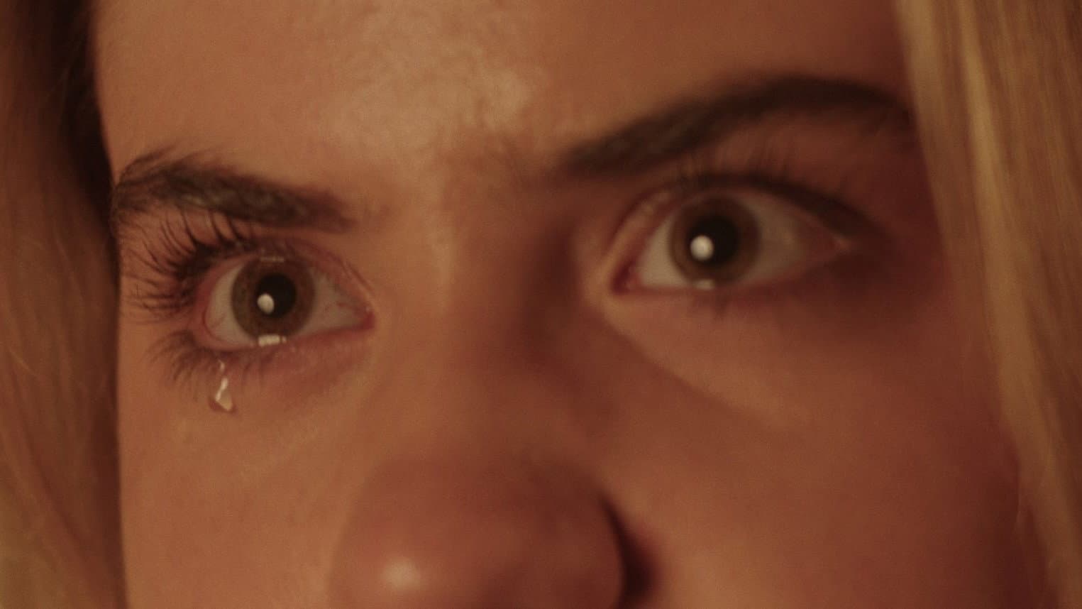 The Pilgrim's Ballad