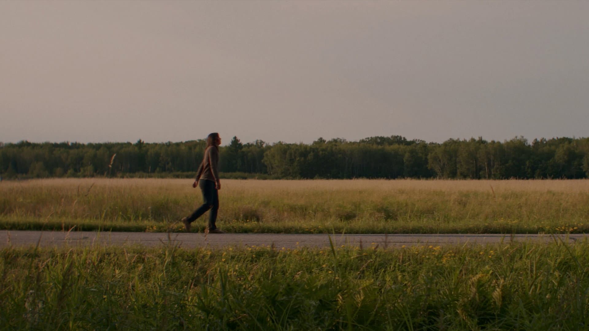 Blossom Needs A Ride Home