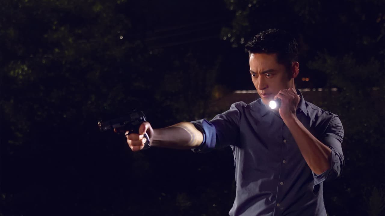 Chasing Mystery Crime