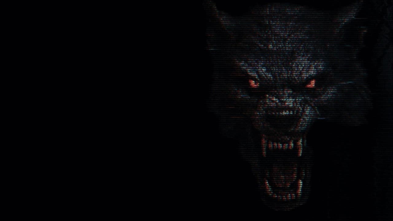 The Fairfield County Four