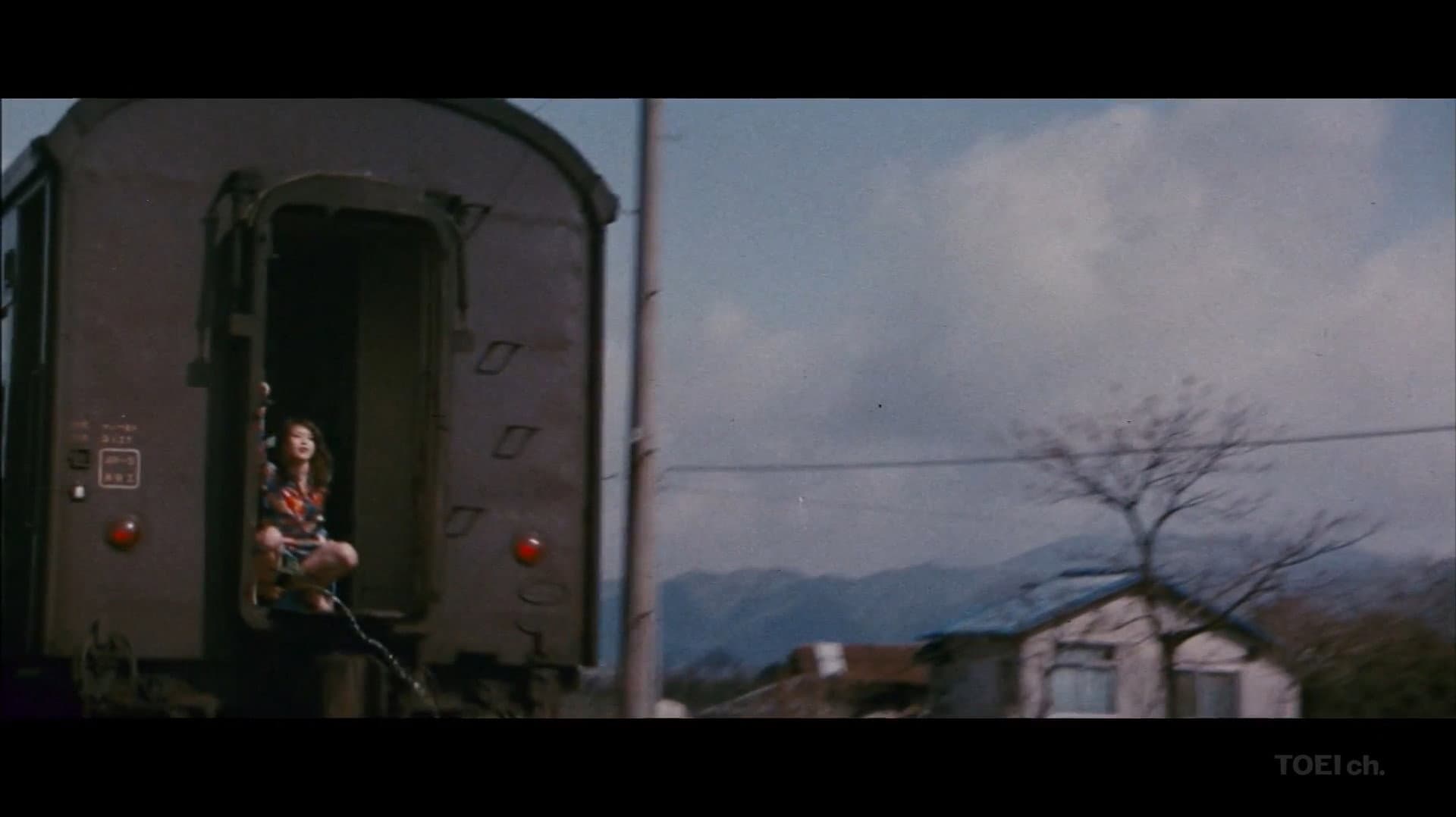 Sapporo, Yokohama, Ogoto, Hakata: Turkish Migratory Birds