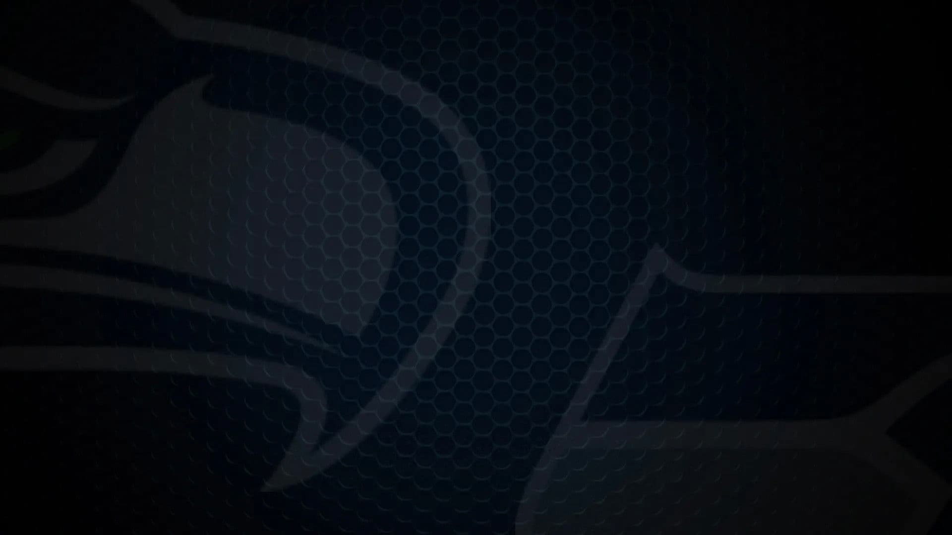 Super Bowl Champions: The 2025 Seattle Seahawks