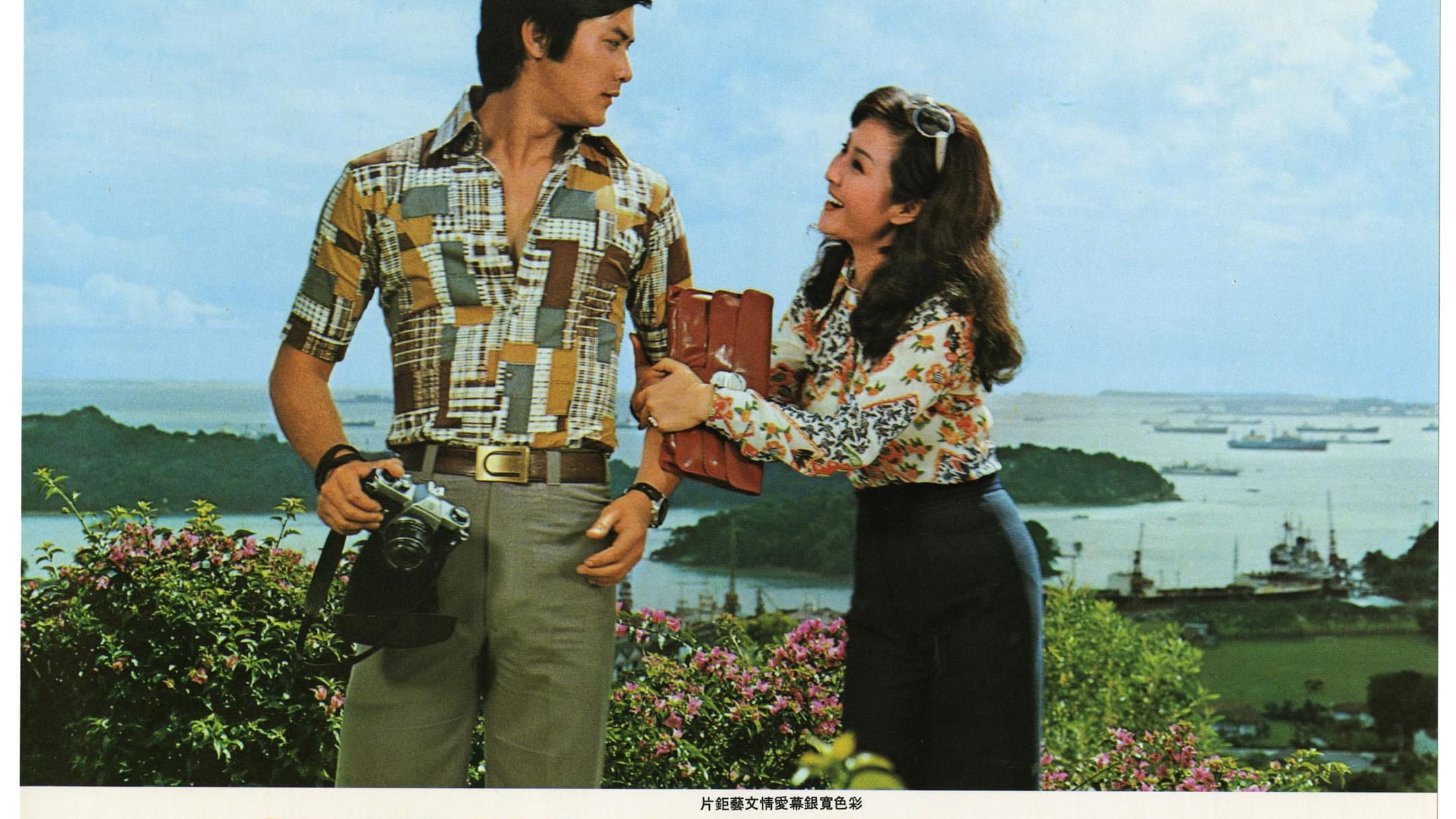 Where the Seagull Flies