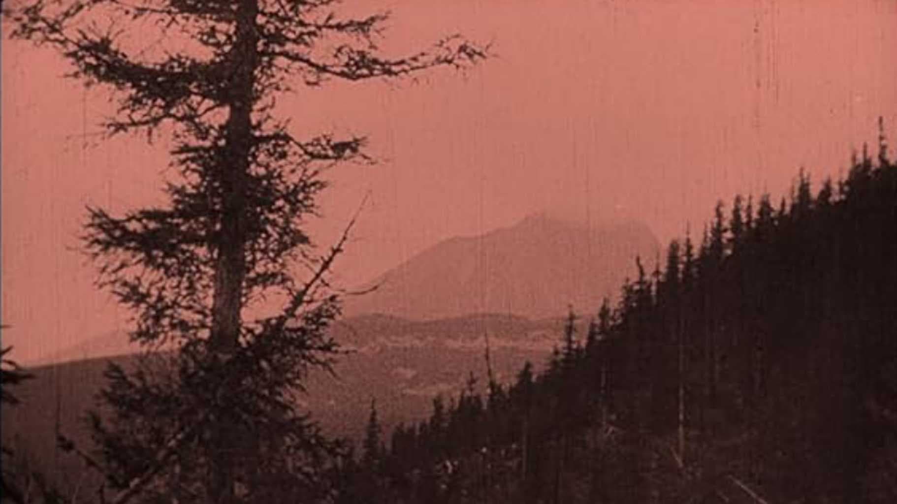 The Mysterious Castles in the Carpathians