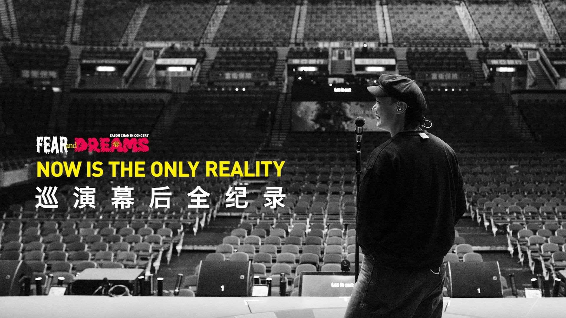 FEAR and DREAMS: NOW is the only reality