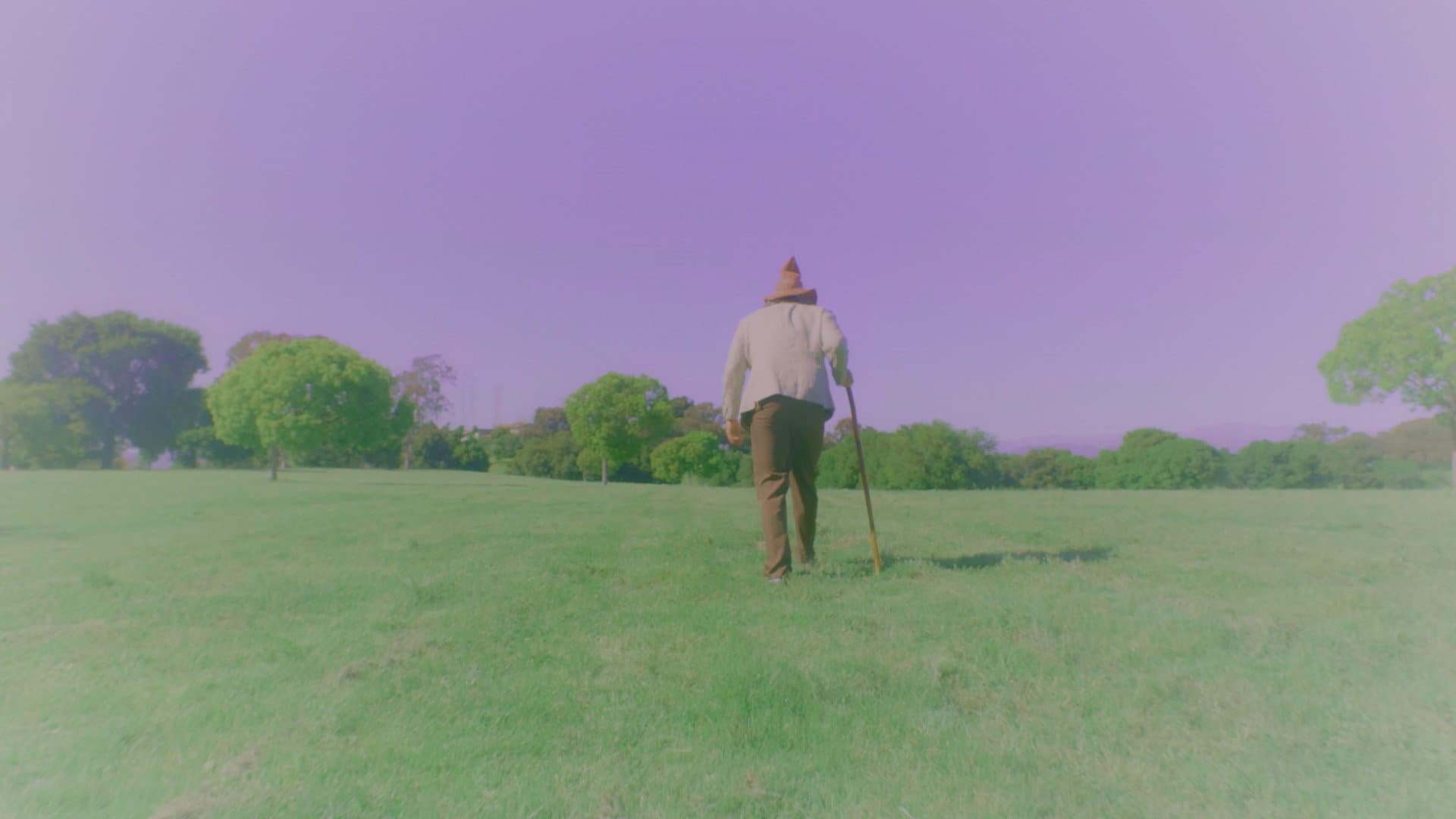 The Wizard and the Detective in the Search