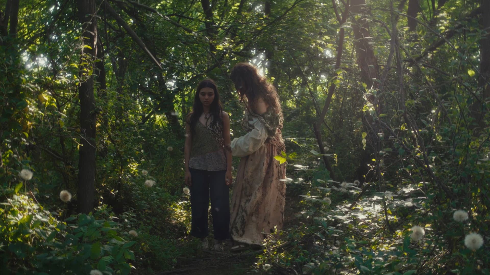 Donde Nacen Las Flores