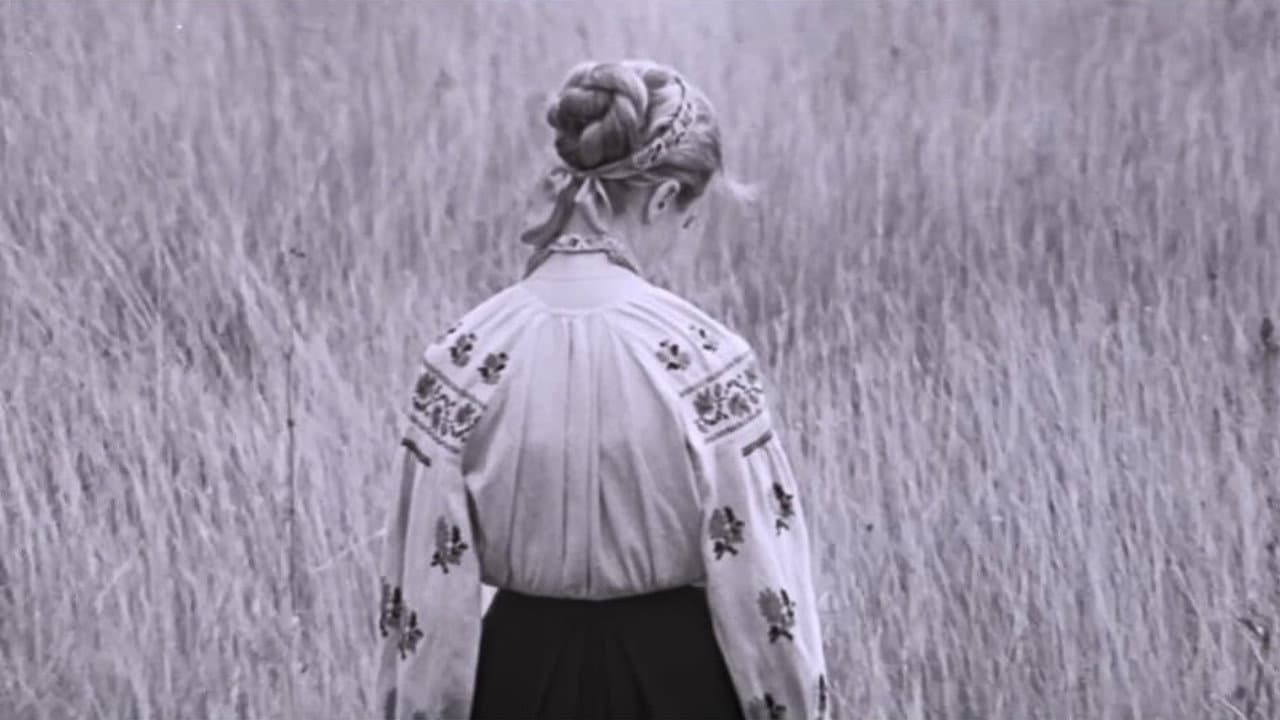 I'm Coming to You...