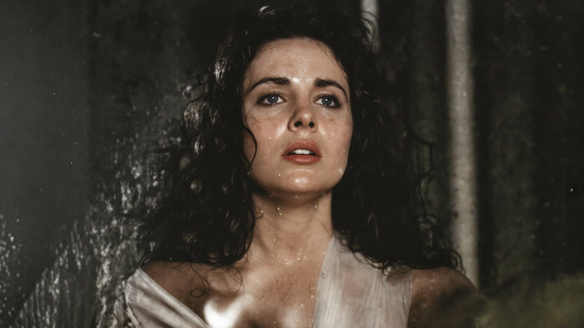 Loves with Gravity: The Knight, Snow White and The Traitor