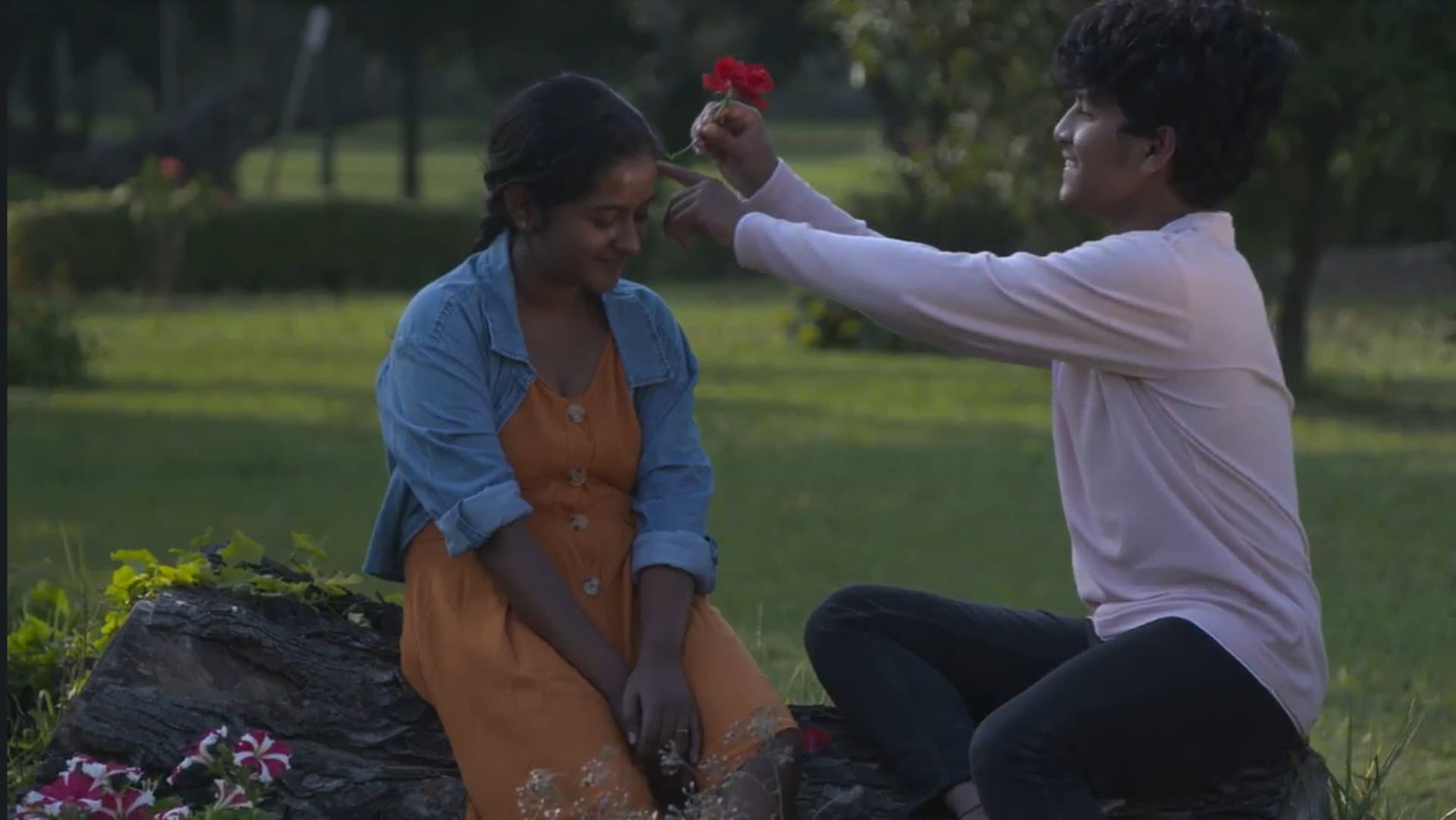 Diary Of Hitler Kumar