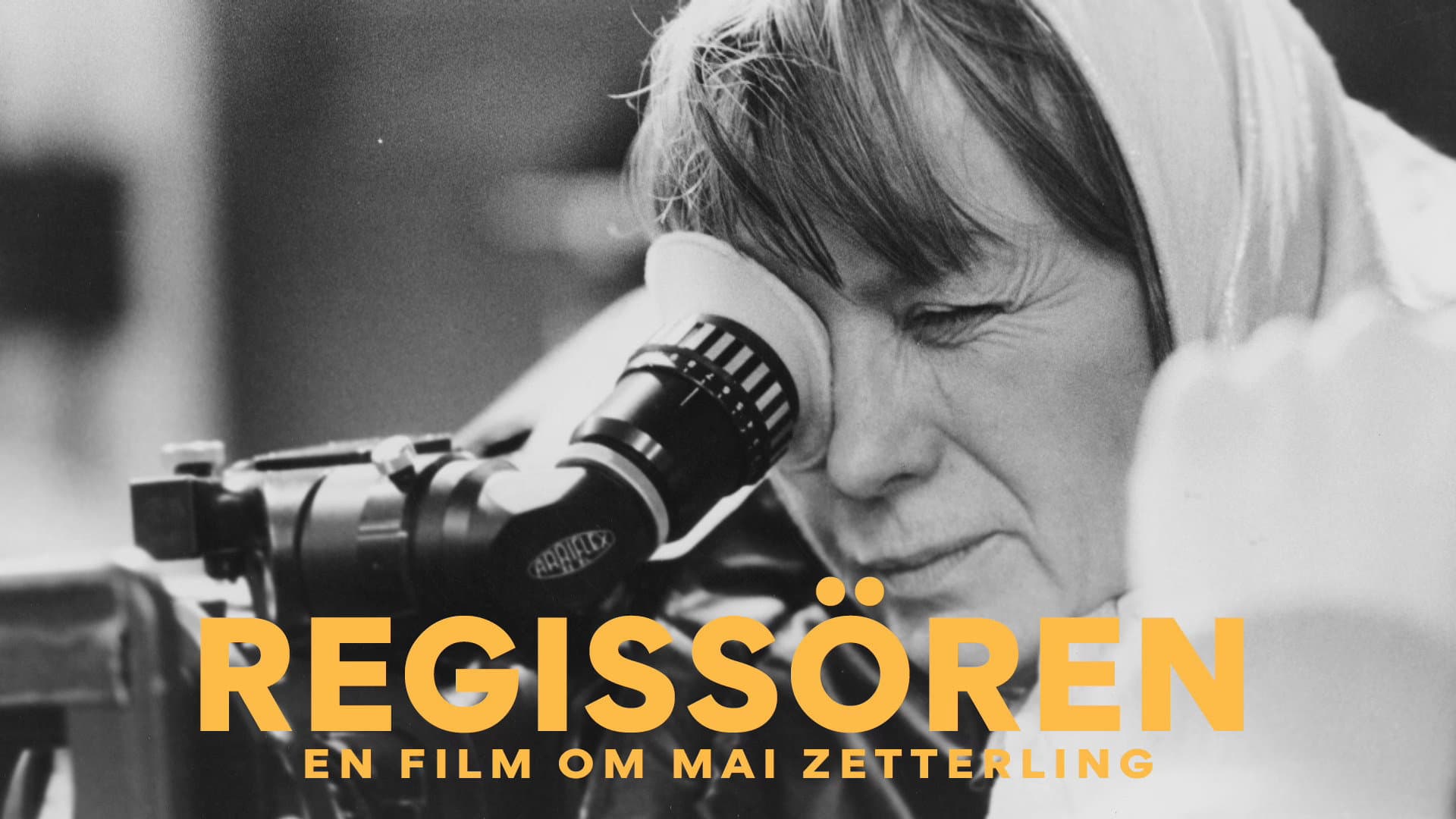 Regissören: En film om Mai Zetterling