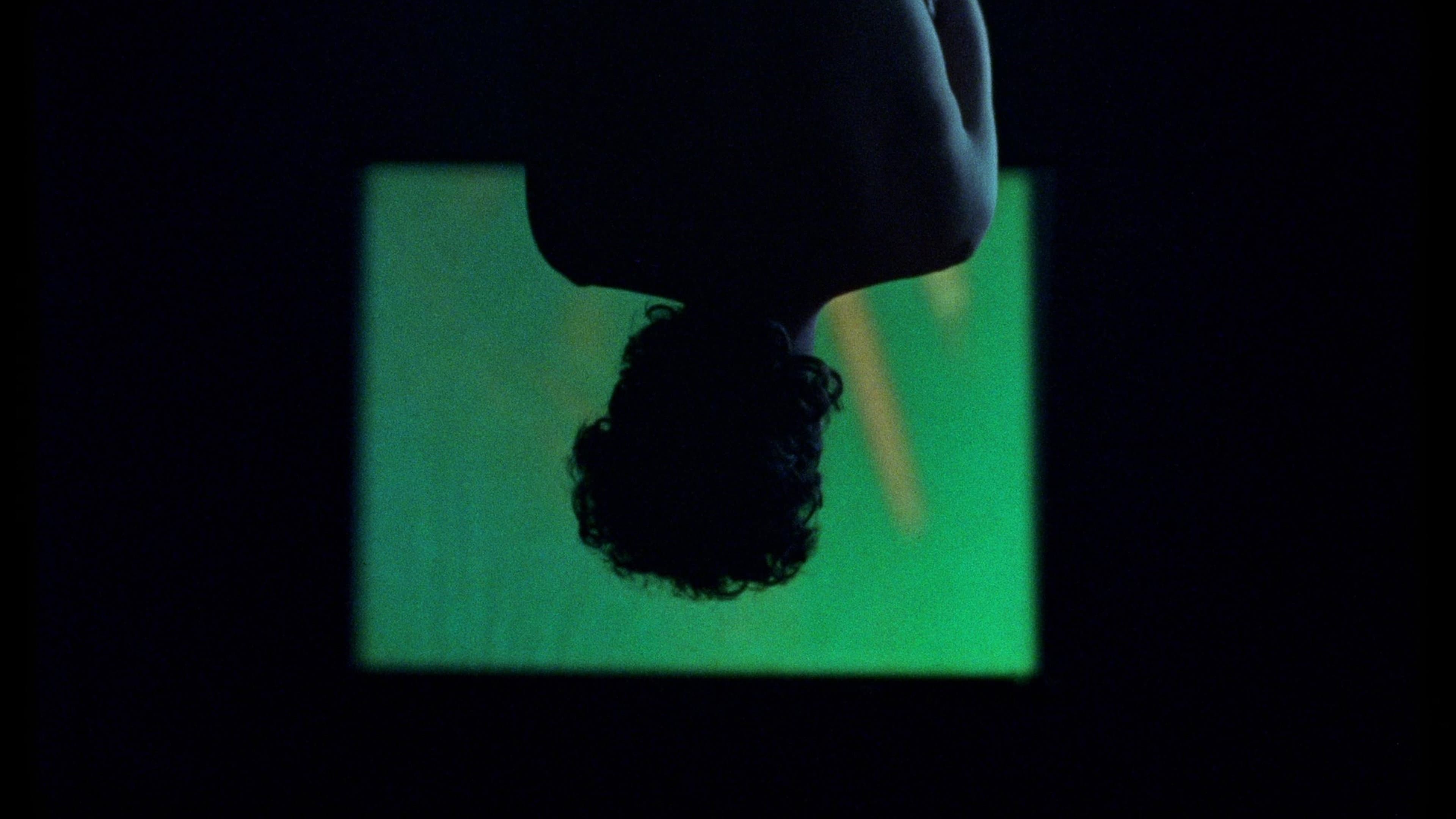 Los murciélagos han abandonado el campanario