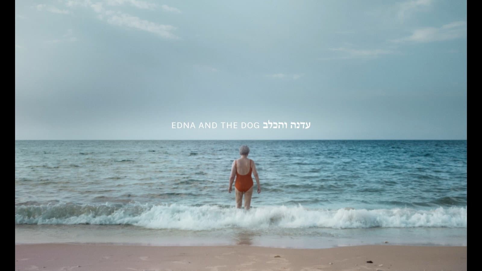 Edna and the Dog