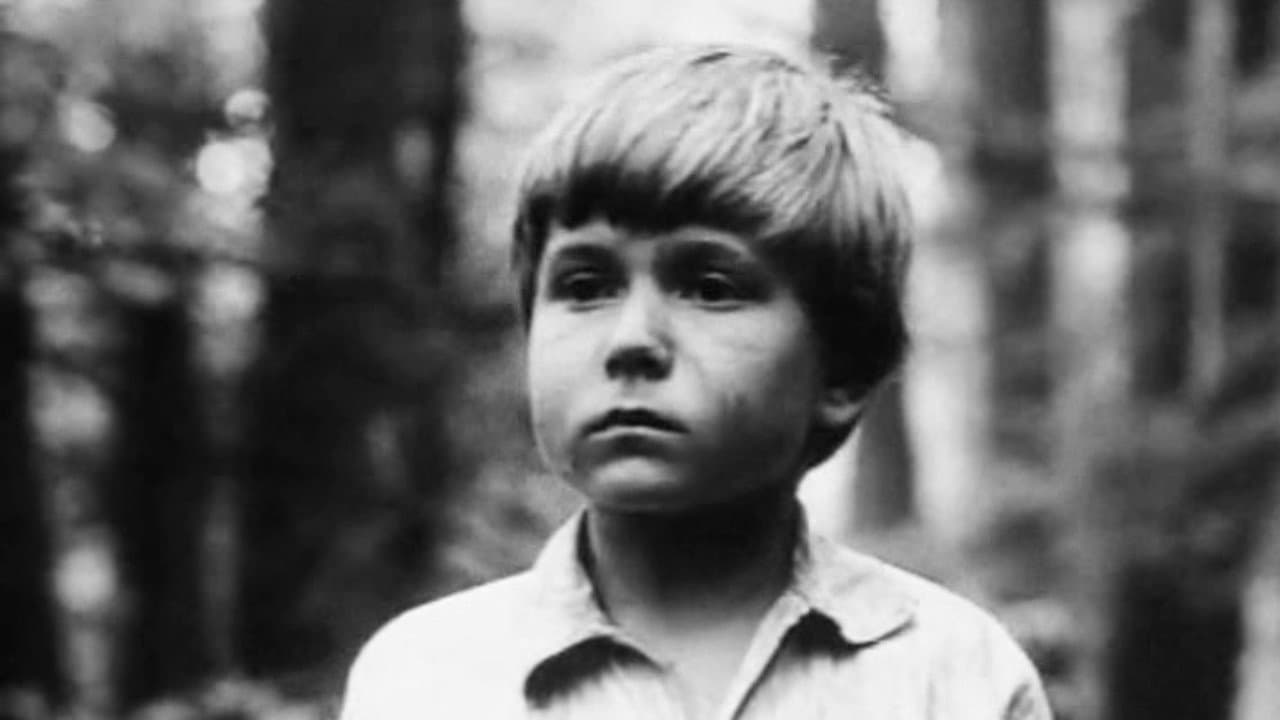 The Secret of the Partisan Dugout